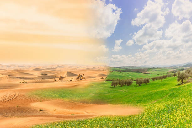 2 Deserto Stock Photos Pictures Royalty Free Images Istock