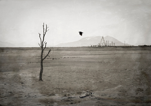 desolate-landscape-with-textures-picture-id1217882679