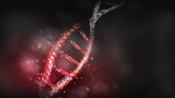 Destruction of the DNA model on a dark background, 3D render. stock photo
