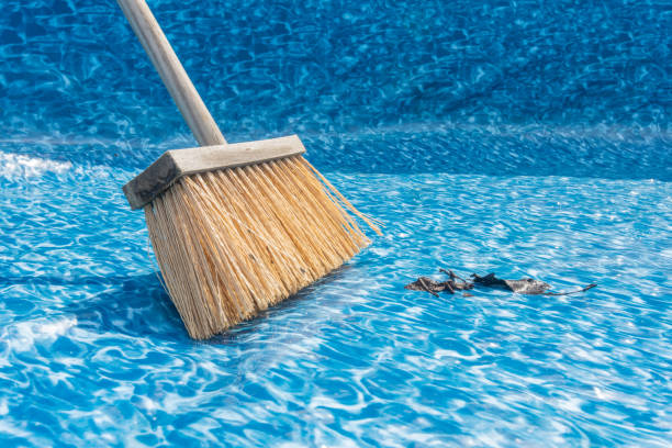 Detail of a bone when sweeping leaves and spins when cleaning a garden pool. preparation for the summer season stock photo