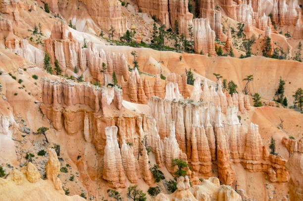 detail of hoodoos at Bryce Canyon National Park, Utah stock photo