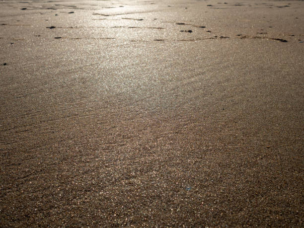 Detail of sunlight on wet sand at dusk stock photo