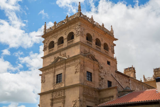 Detailed view at the Monterrey's palace tower building, Palacio de Monterrey, a cross of late gothic and plateresque renaissance styles and a historical building on Salamanca downtown stock photo