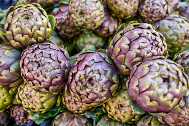 A detailed view of a bunch of fresh Roman artichokes stock photo