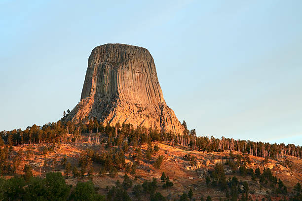 Devil's Tower Nat'l Monument, WY Sunrise "Early morning at Devil's Tower. Located in the Black Hills in Wyoming, Devil's Tower is a popular rock climbing destination." terryfic3d stock pictures, royalty-free photos & images