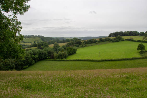 Devon hills stock photo