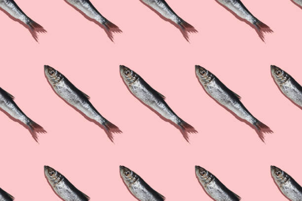 Diagonal pattern of Baltic Herring on a Pink colorbackground stock photo