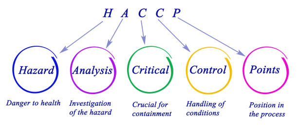diagram of haccp regulatory requirements - haccp imagens e fotografias de stock