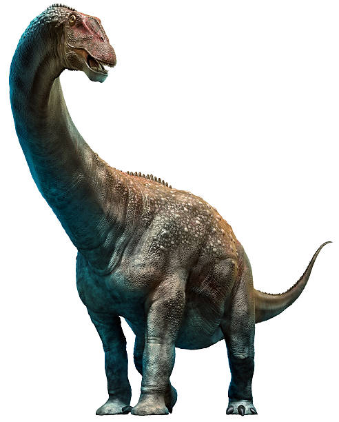 Diamantinasaurus Diamantinasaurus 3D illustration animal neck stock pictures, royalty-free photos & images