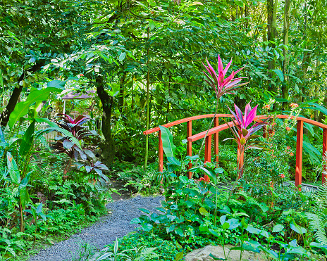 Diamondwasserfall Botanical Garden St Lucia Stockfoto Und Mehr