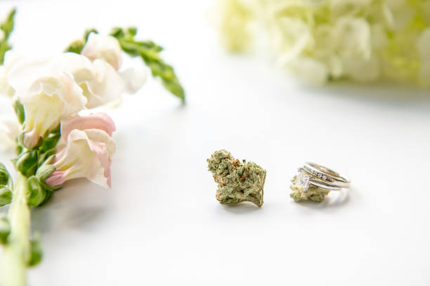 Diamond Wedding and Engagement Ring on Marijuana Bud with Pink Flowers Close Up - Cannabis Wedding stock photo