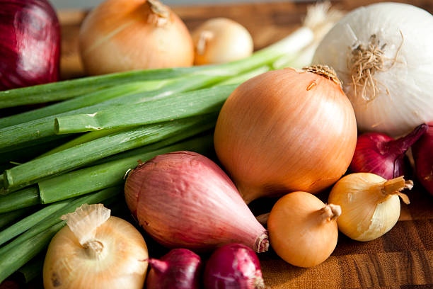 Different Types of Onions stock photo
