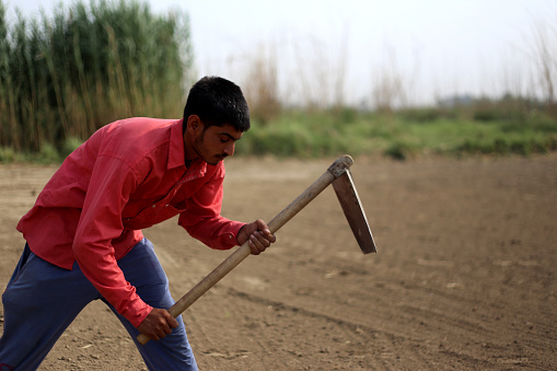 Farmer digging in the field using hoe.
