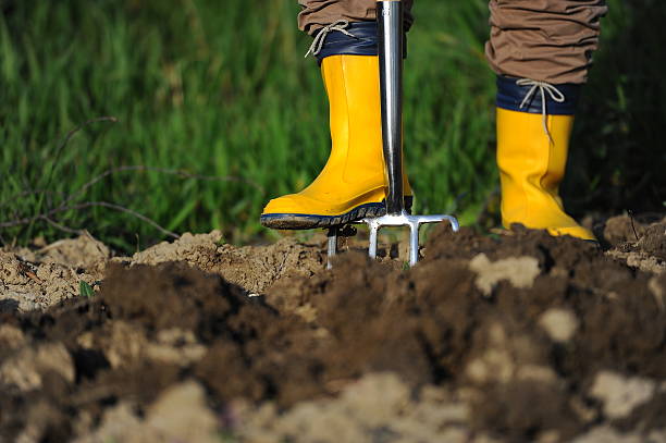 Digging with fork in garden stock photo