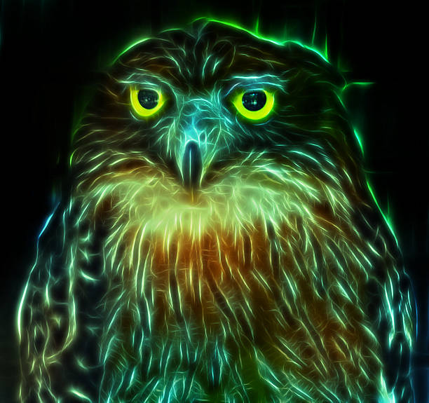 Digital drawing of a owl stock photo