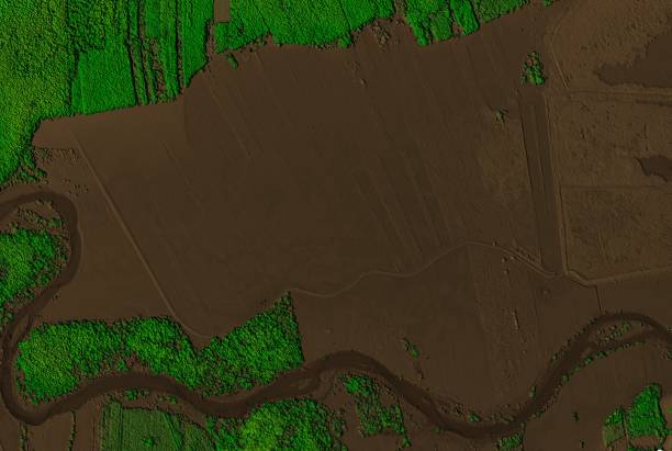 modello di elevazione digitale di un'area forestale con un fiume. - software agricoltura irrigazione foto e immagini stock