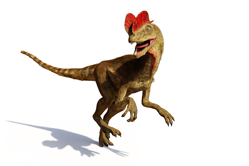 Dilophosaurus Theropod Dinosaur From The Early Jurassic Period Stock Photo - Download Image Now