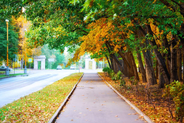 Photo of Diminishing perspective of autumn tree alley in campus of famous Moscow university