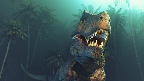 Photo  libre de droit de Dinosaures De Dino  banque d images   Photo  libre de droit de Dinosaures De Dino  banque d images