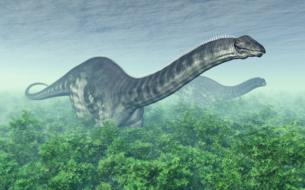 Dinosaur Apatosaurus in a forest stock photo