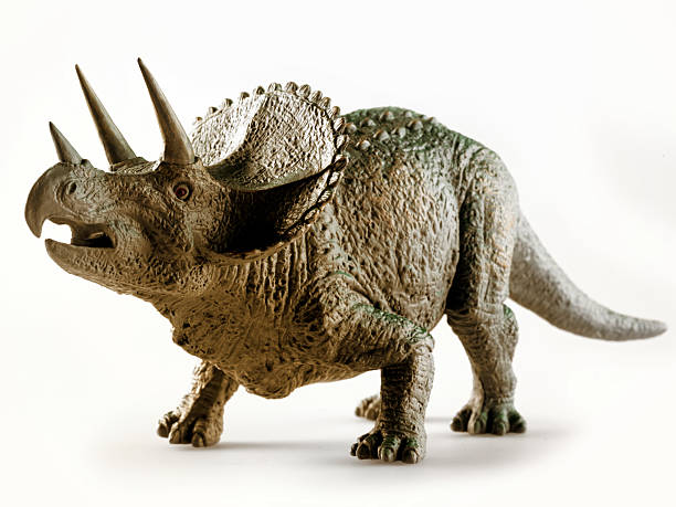 Omnivore Dinosaur Stock Photos Pictures Royalty Free Omnivore Dinosaur Stock Photos Pictures Royalty Free