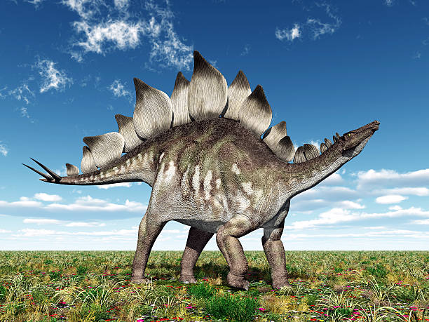 Dinosaur Stegosaurus stock photo