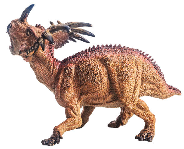 dinosaur , Styracosaurus on white background . Clipping path stock photo