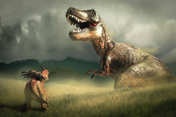 dinosaur , Styracosaurus with tyrannosaurus  T-rex stock photo