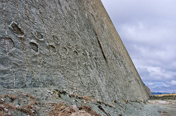 dinosaur tracks on the wall of  cal orko, sucre, bolivia - dinosaur trees stockfoto's en -beelden