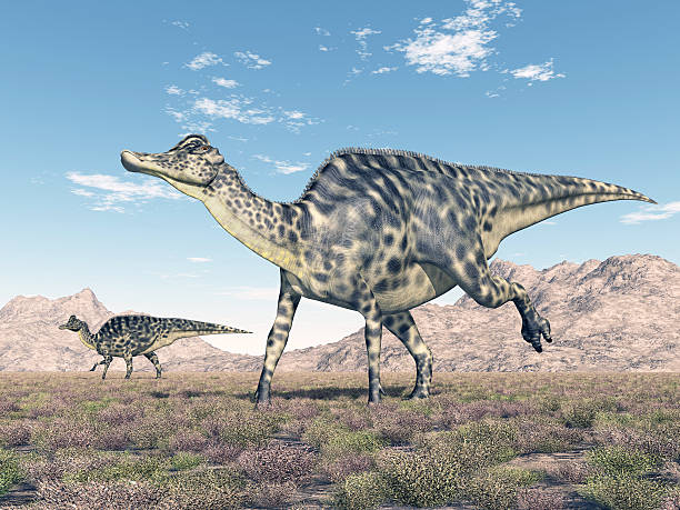 Duckbill Dinosaur Stock Photos, Pictures & Royalty-Free Images - iStock