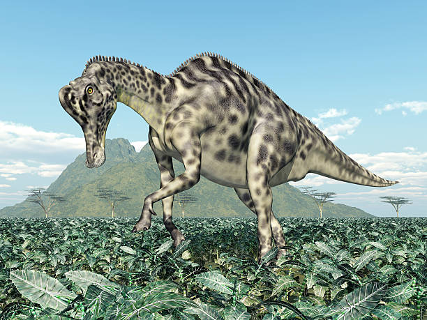 Duckbill Dinosaur Stock Photos, Pictures & Royalty-Free Images - iStock