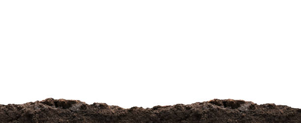 dirt heap, soil pile on white, horizontal dirt, black soil for construction and gardening concept, copy space dirt heap, soil pile on white, horizontal dirt, black soil for construction and gardening concept, copy space soil stock pictures, royalty-free photos & images