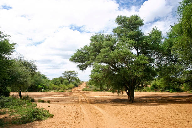 Dirt road in Africa stock photo