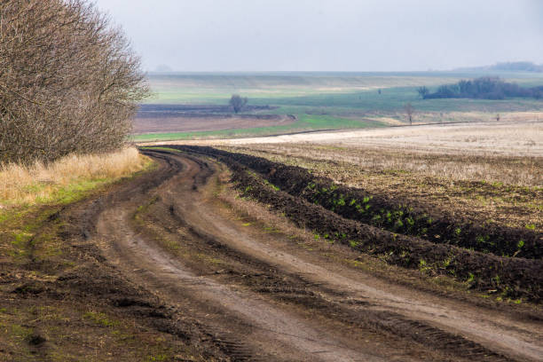 dirt road in the spring steppe stock photo