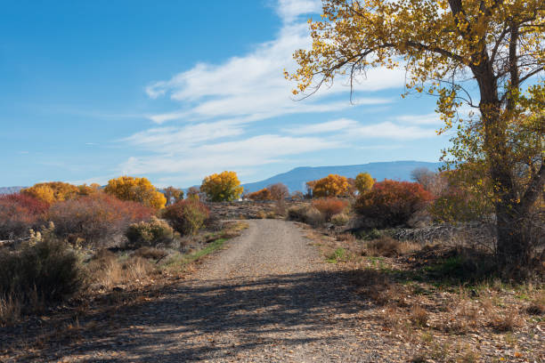 Dirt road with autumn foliage stock photo