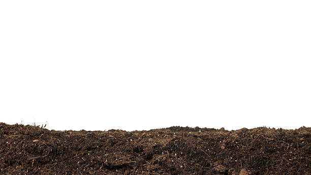 汚れた堆肥白背景 - 土壌 ストックフォトと画像