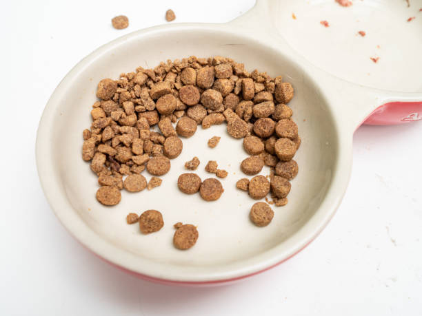 Dirty cat food bowls on a mucky white surface stock photo