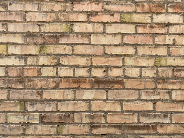 dirty grungy mildew mold tan brick wall building exterior weathered stock photo