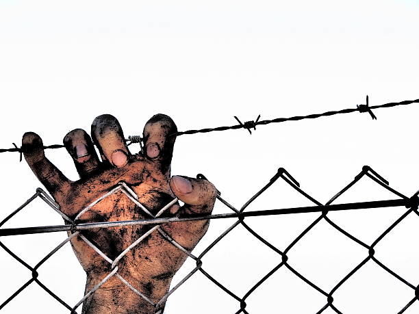 Dirty hand clinging to a steel barb wire fence stock photo