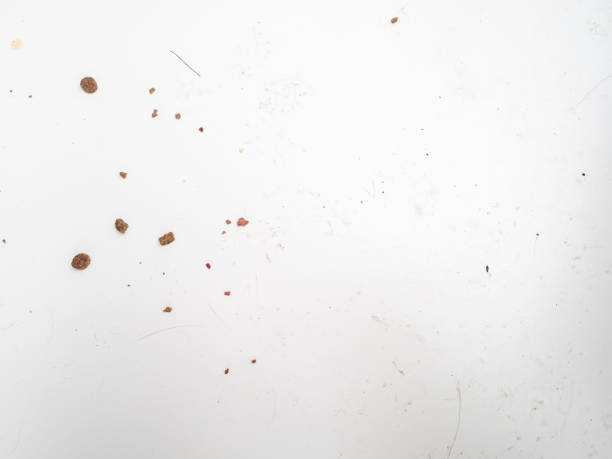 Dirty white surface with cat hair, muddy prints and cat food stock photo