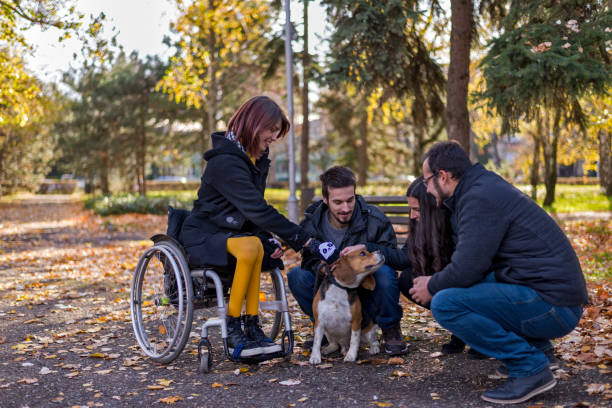 A disabled girl in a wheelchair with friends in the park stock photo