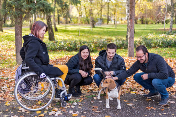 Disabled girl in a wheelchair with friends in the park stock photo