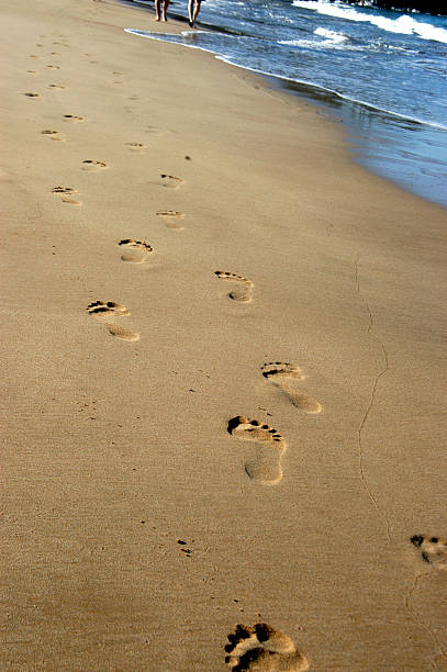Couple Footprints In The Sand Pictures, Images and Stock Photos - iStock