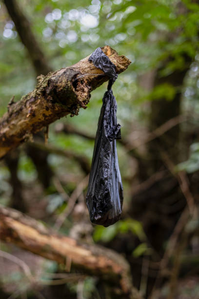 Discarded black dog poo bag, left hanging on a tree branch stock photo