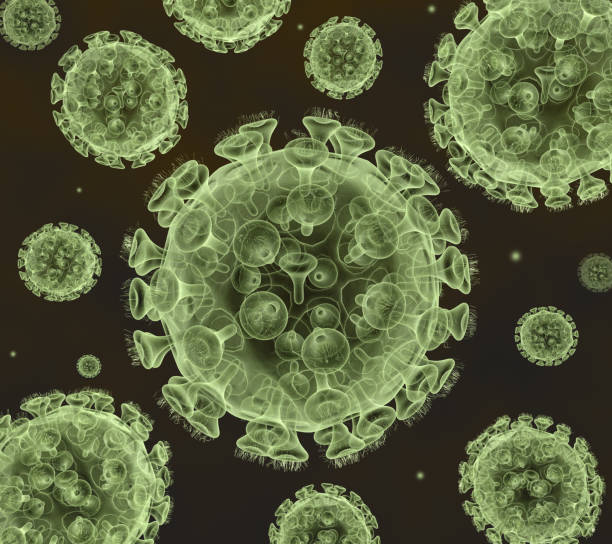 virus de la enfermedad x - polio fotografías e imágenes de stock