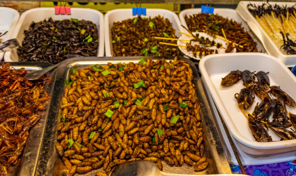 Disgusting Thai food and sale of insects for eating consumption at Khaosan Khao San Kaosan Road in Bangkok Thailand. stock photo