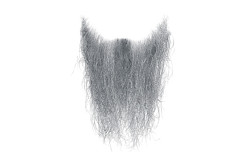 Disheveled gray beard isolated on white. Mens fashion