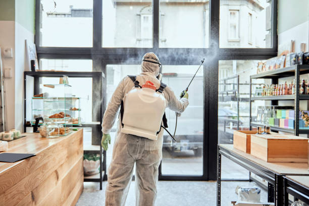 Disinfecting workplace ,taking measures against the global pandemic Man in protective suit disinfecting and spraying shop interior disinfection stock pictures, royalty-free photos & images