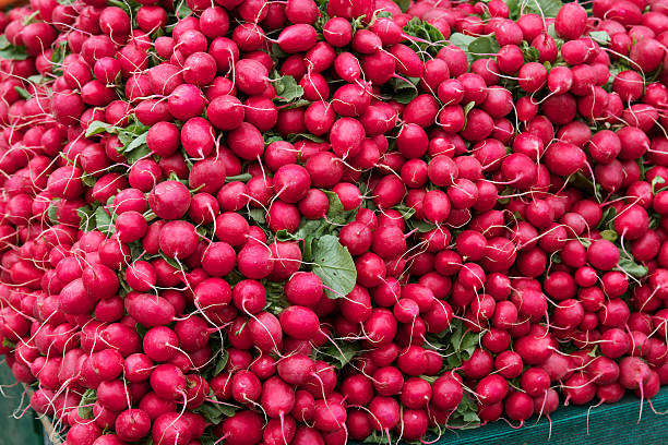 Display of Radishes in a Produce Market stock photo