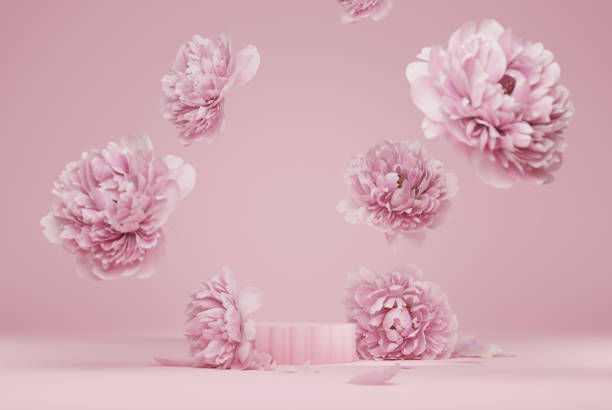 Photo of 3D display podium pastel pink flower  background. Peony blossom falling down. Nature minimal pedestal for beauty, cosmetic product presentation. Valentine, feminine copy space template 3d render